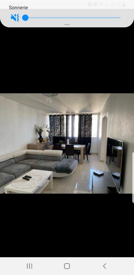 Appartement Laurent Bonnevay Villeurbanne Dış mekan fotoğraf