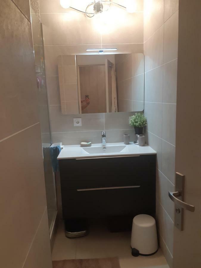 Appartement Laurent Bonnevay Villeurbanne Dış mekan fotoğraf